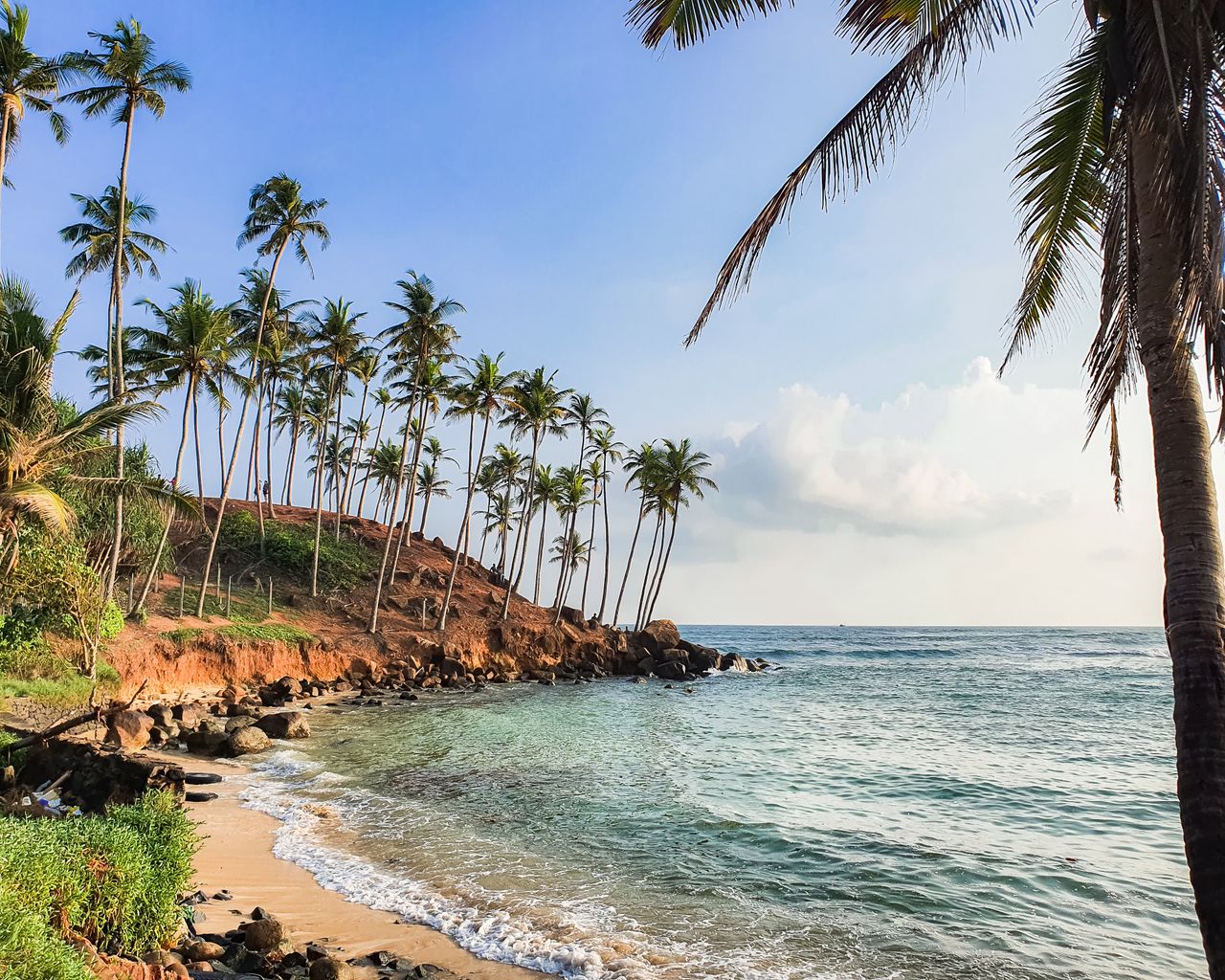 Beautiful coastline at Mirissa, Sri Lanka with coconut palms and turquoise ocean waters.